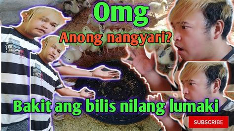 pamurga sa sisiw|PAANO ANG TAMANG PAGPUPURGA NG .